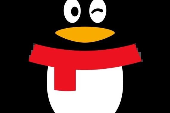 vivoQQ分身PIN码进不去？